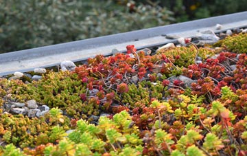 the cost of Holmesdale green roof installation
