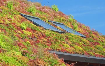 Holmesdale living roof systems