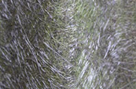 Holmesdale fibreglass roof work